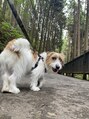 フィーカ(FiiKA)&nbsp;愛犬です♪