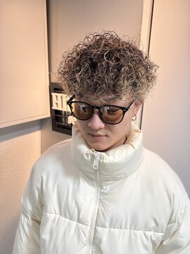 ハイセンス セカンド(HISENSE second) プードルハイライト