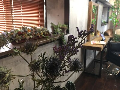 店内はドライフラワーや観葉植物など緑が多く、癒しの空間です☆