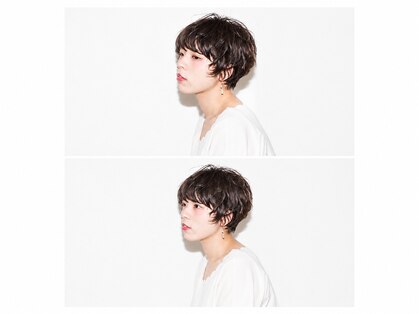 シャロウ(SHALLOW)の写真