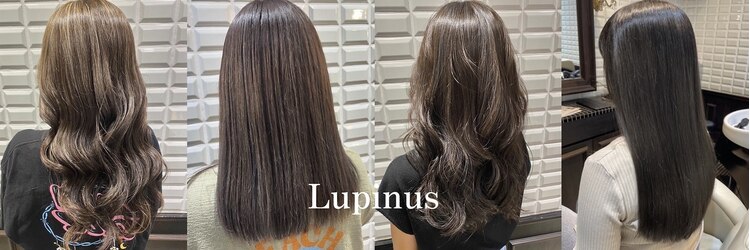 ルピナス(Lupinus)のサロンヘッダー
