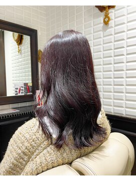 ルピナス(Lupinus) ワインレッド