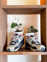 ボスヘアー チャプター(boss hair chapter)&nbsp;真柏