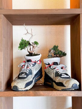 ボスヘアー チャプター(boss hair chapter) 真柏