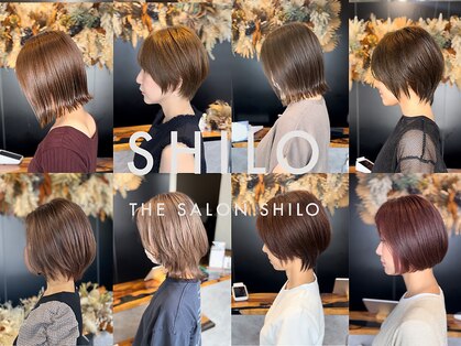 シロ(SHILO)の写真