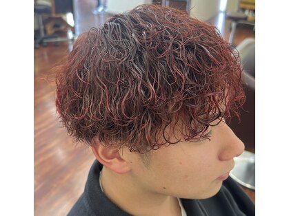 ディライト(Delight)の写真