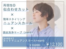 スパイス SPYSの雰囲気（ショートカット/ショートボブ/ニュアンスパーマ/パーマ/札幌）