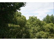 サイ(SAI)の雰囲気（窓の外は一面緑で、自然光と自然音が心地よいです＊）