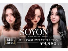 ソヨン 岡崎店(SOYON)