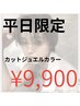 【平日限定】ツヤ感キープ♪カット+ジュエルカラー ¥11,330→¥9,900