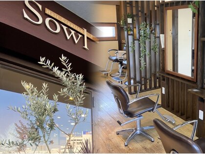 ヘアクリエイションソウル(Hair creation Sowl)の写真