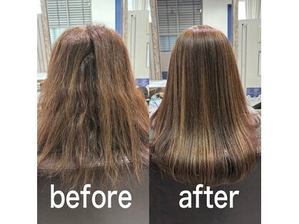 ハナビ(hanabi)の写真