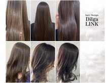 ディルガ リンク(Dilga LINK)