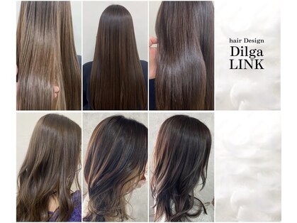 ディルガ リンク(Dilga LINK)の写真