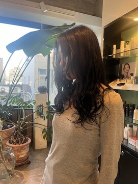 ビハインドザカーテン(BEHIND THE CURTAIN) 外国人風くせ毛パーマ×セミロング×地毛風カラー