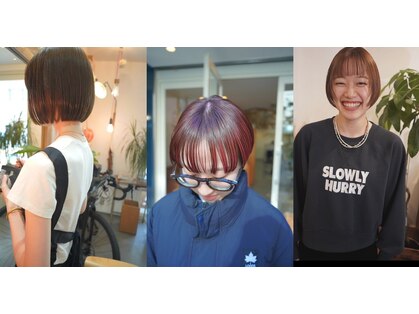 ヒツジ(hitsuji)の写真
