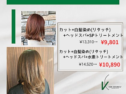 エフプロモーションヴァンカウンシルブリーズ(VAN COUNCIL BReeze)の写真