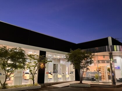 EMA NEXUS【エマネクサス】の写真