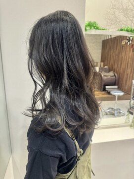 アデプト 金町店(adept) グレージュブラウン