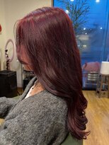 プレーゴ美容室&nbsp;ブリーチ無しボルドー