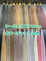 ニュイ 新宿(Nuit)&nbsp;シールエクステ48cmカラーチャート
