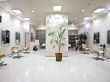 店内は観葉植物が多数置いてある、癒し空間。