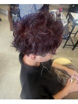 トリコ(ToricO) ワインレッド