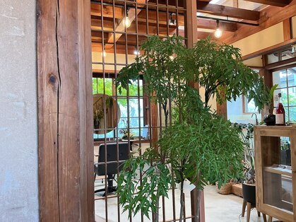 ポノ(Pono)の写真