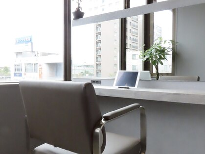 リット(lit)の写真