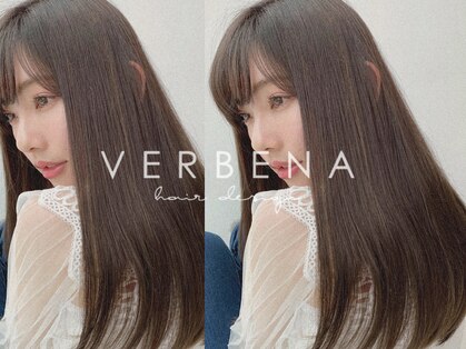 バーベナ(VERBENA)の写真
