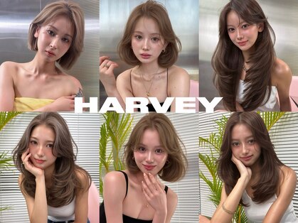 ハーヴィー 大宮店(HARVEY)の写真