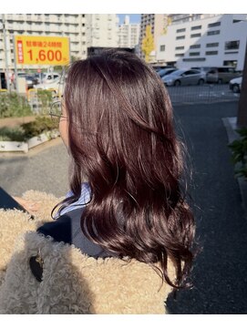 エディット アンド 緑地(Edit&) ワインレッド