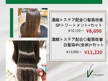 エフプロモーションヴァンカウンシルブリーズ(VAN COUNCIL BReeze)