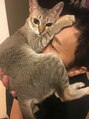 ハーヴェスト(HARVEST) oh麗しの愛猫！マグちゃんです