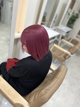 カリーナ(CARINA) ハイトーンカラー/艶髪