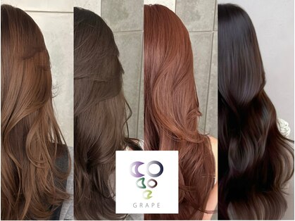 グレープ(GRAPE)の写真