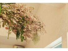 『プリカール』実際どれくらいの持続性なの？