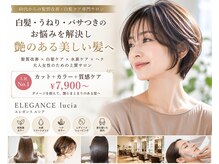 エレガンス ルシア(ELEGANCE lucia)