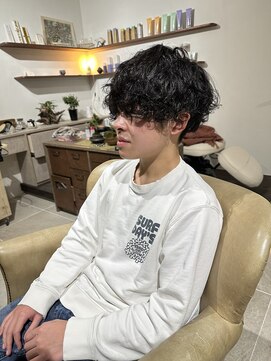 シラス(SiLasu) プードルパーマ