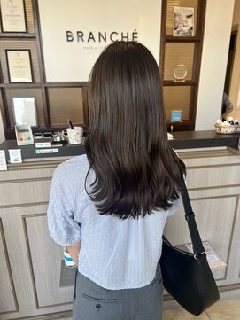 ブランシェ神領店 【AOIカラー】グレージュ