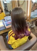 エンドカラー　パープル
