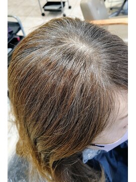 ヴィサージュファイン(VISAGE fine) 白髪ぼかし ハイライト  ブリーチ ミディアム