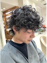 ピークアブー アヴェダ ギンザシックス(PEEK-A-BOO AVEDA GINZASIX) メンズパーマ/ニュアンスパーマウルフパーマ/ハードパーマ