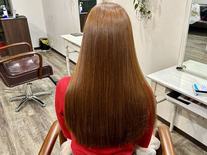 アイリス(iris)の写真