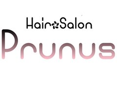 Hair salon Prunus