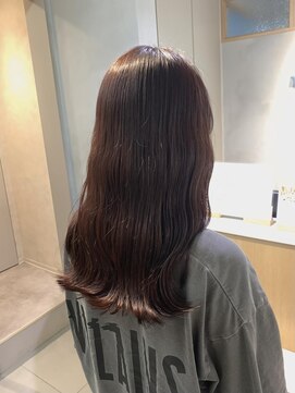 ハイル(Heil) チョコレートブラウン/ボルドーブラウン/ブラウンカラー