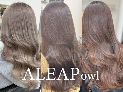 アリープアウル(ALEAP owl)の写真