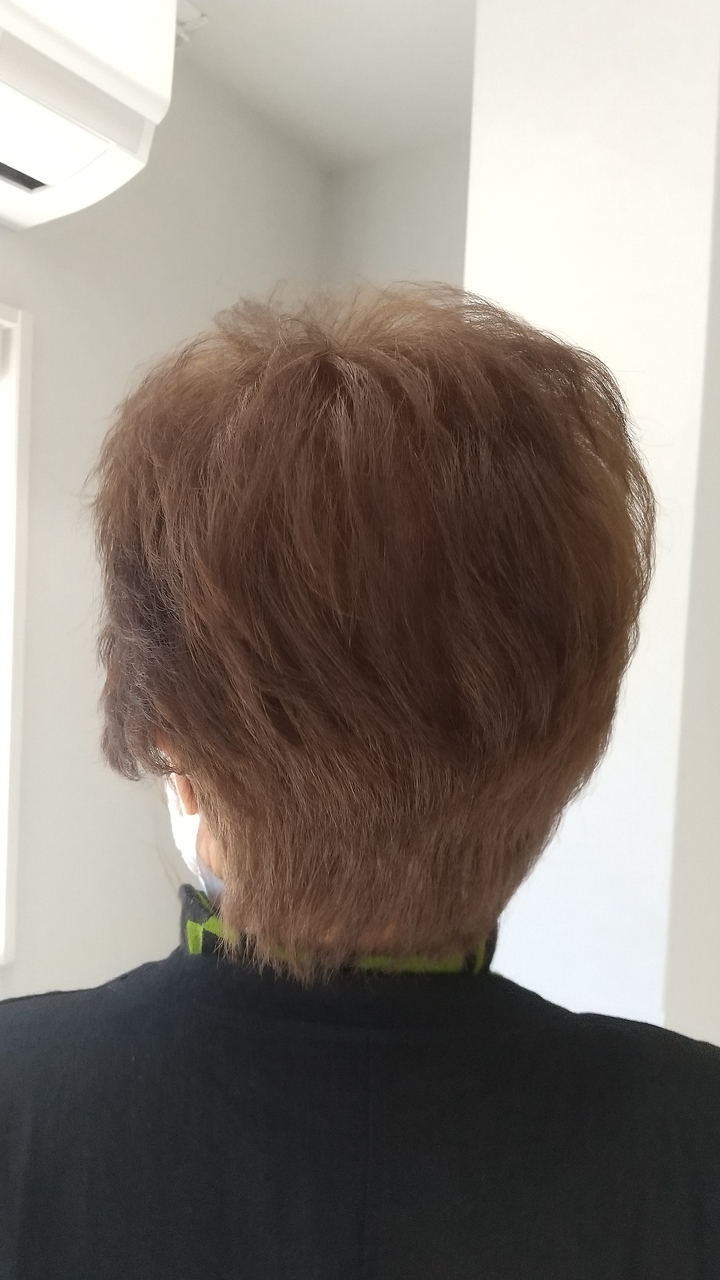 サロンみのじ ショート