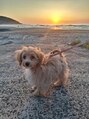 アグ ヘアー ベルグ 鳥取安長店(Agu hair berg) 愛犬 もなか