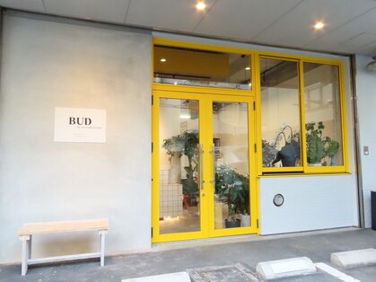 バド(BUD)の写真